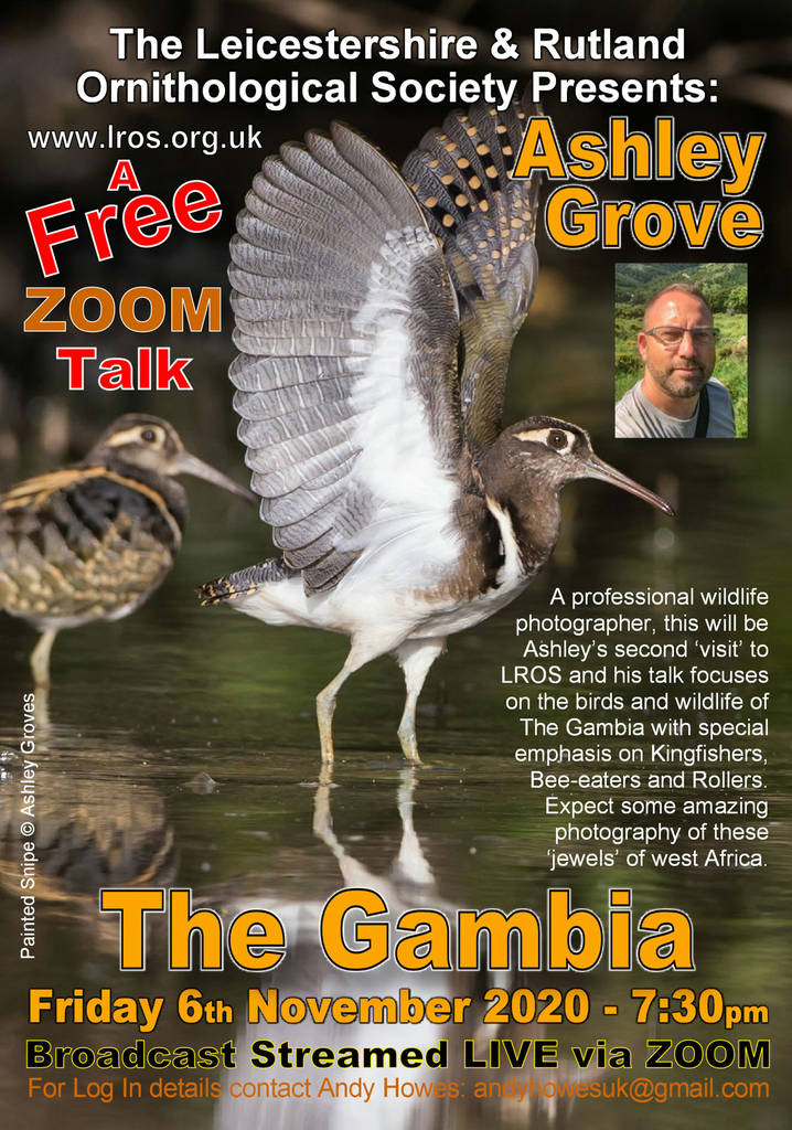 Birds and Wildlife of The Gambia