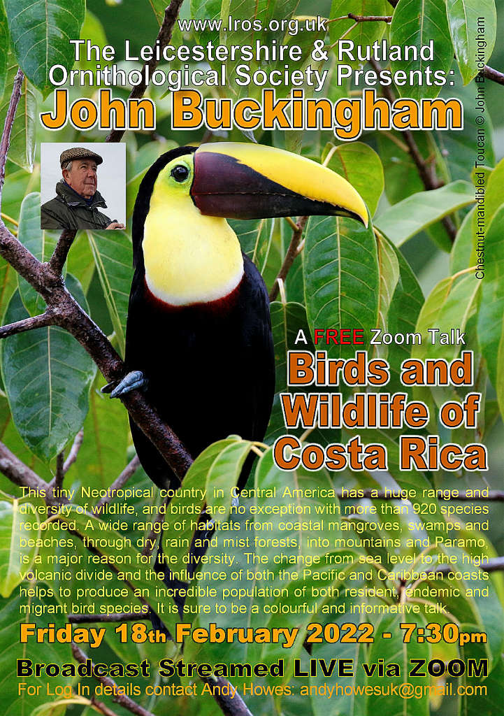 The Birds and Wildlife of Costa Rica