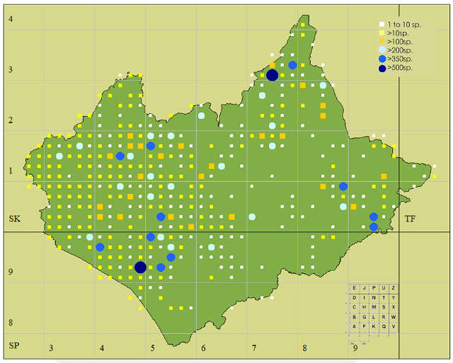 VC55 2022 Moth Review