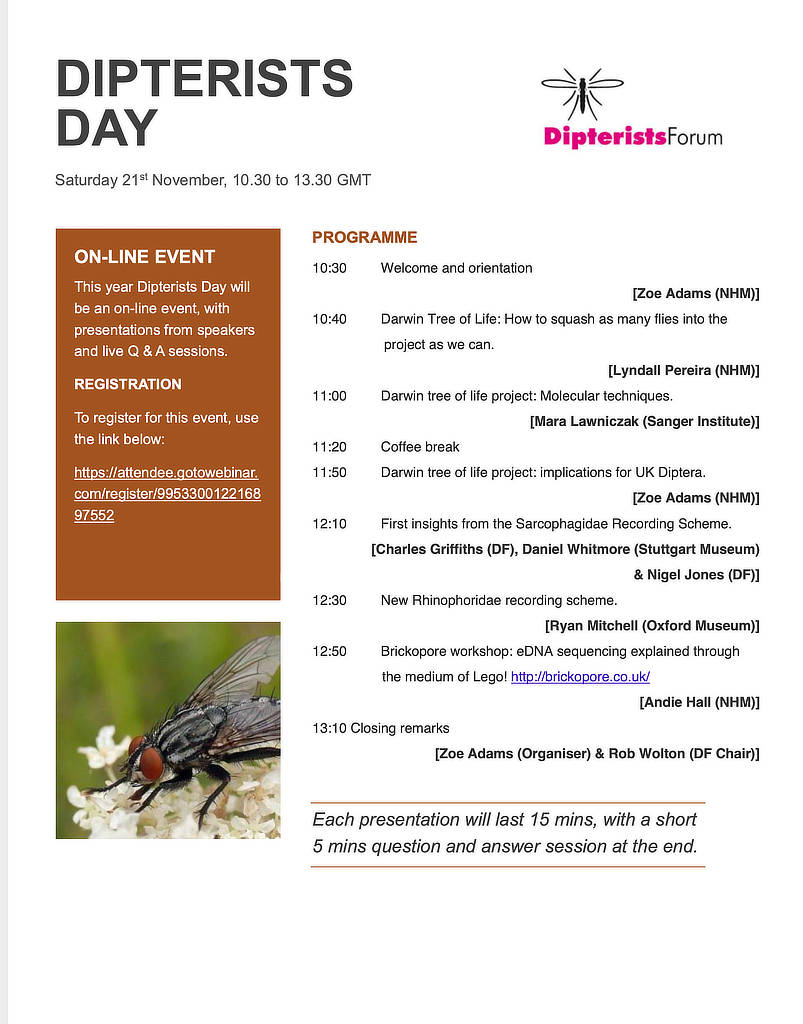 Flyer1