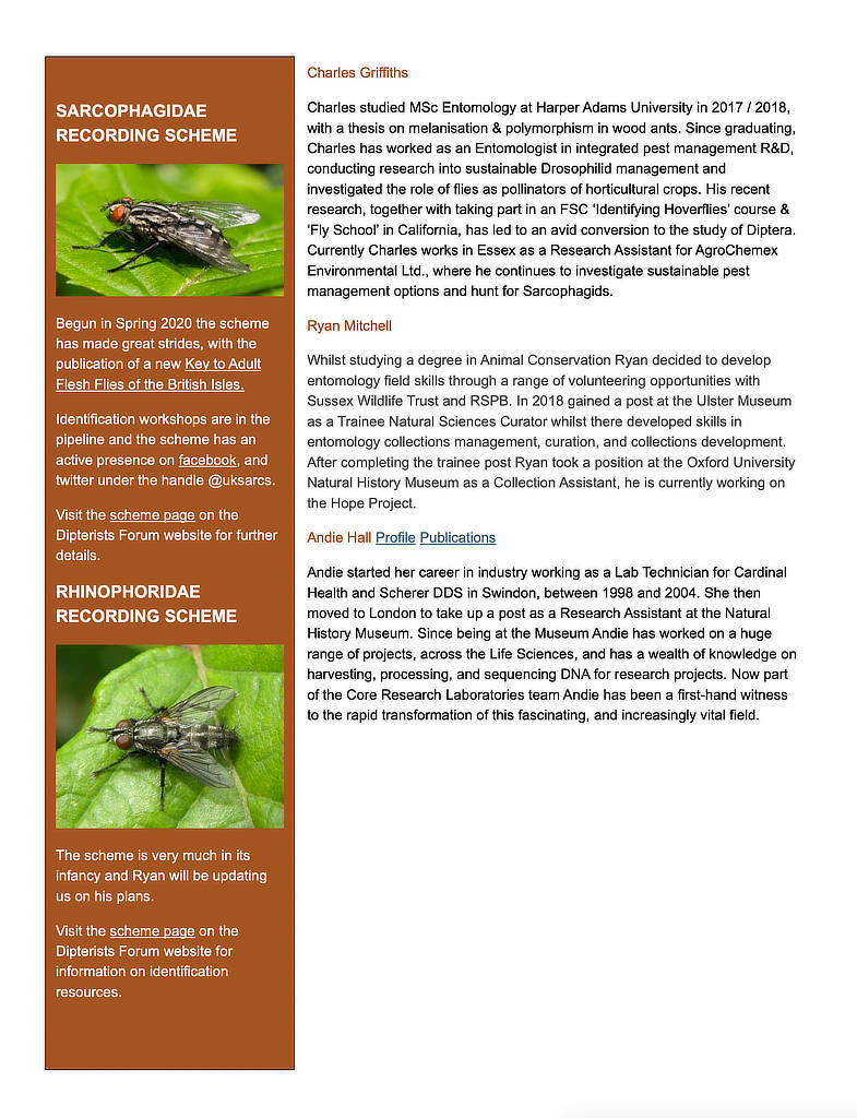 Flyer3