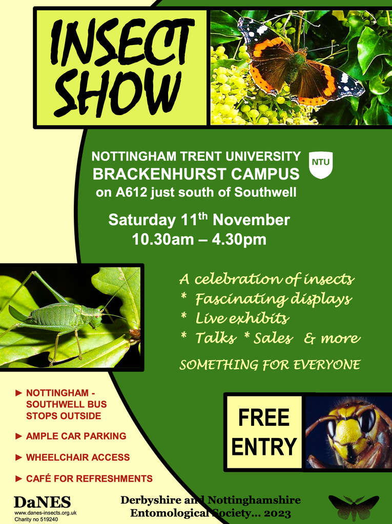 DaNES Insect Show 2023