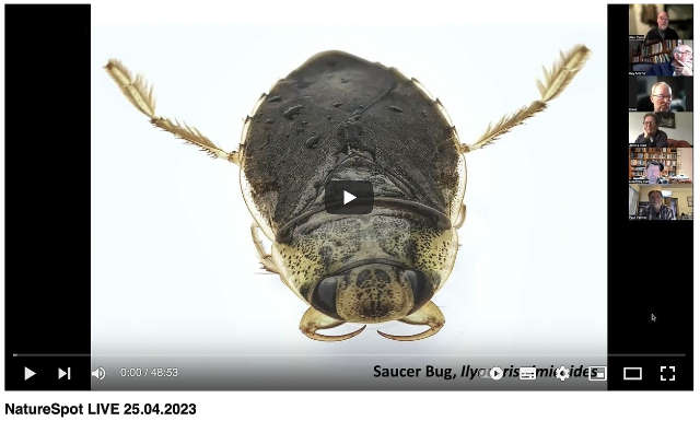 NatureSpot LIVE 25.04.2023