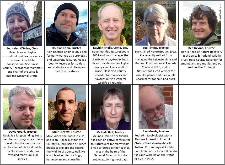 Board of trustees