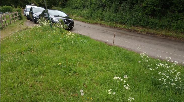 Smeeton - Gumley Rd verge